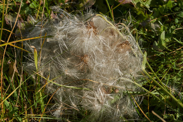 Similar image 21907137