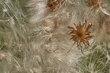 Similar image 21907138