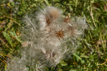 Similar image 21907139