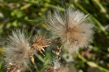 Similar image 21907140