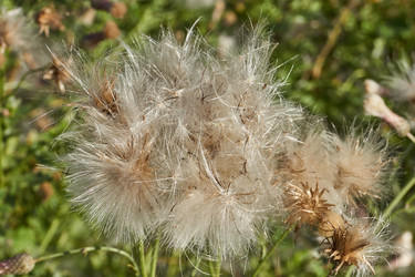 Similar image 21907141