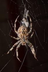 Similar image 21907143