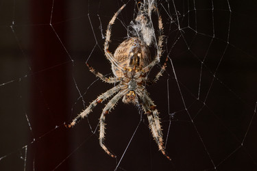 Similar image 21907146