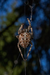 Similar image 21907149