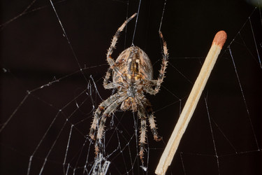 Similar image 21907151