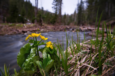 Similar image 21911181