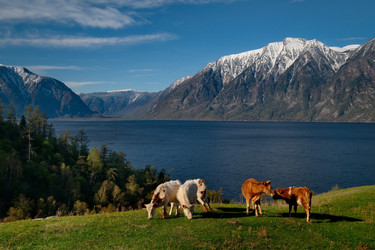 Similar image 21911182