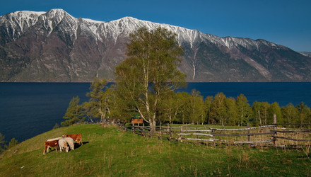 Similar image 21911188