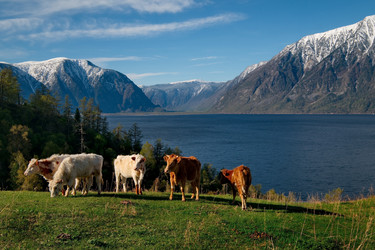 Similar image 21911196