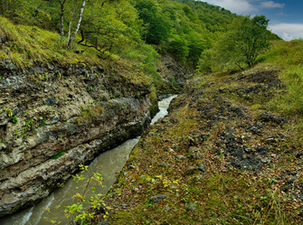 Similar image 21911204