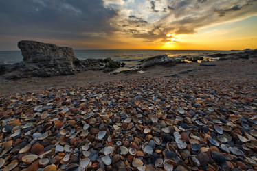 Similar image 21911207