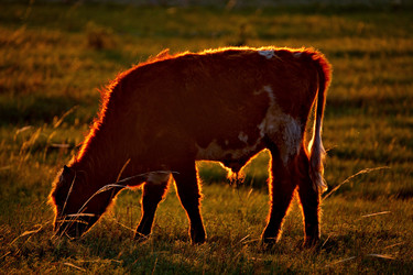 Similar image 21911217