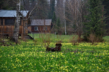 Similar image 21911220