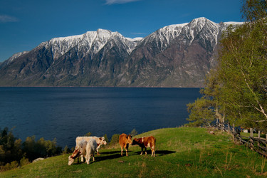 Similar image 21911221