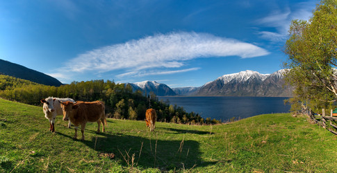 Similar image 21911222