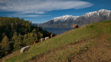 Similar image 21911224