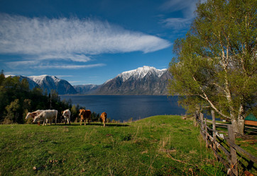 Similar image 21911226