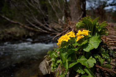 Similar image 21911228