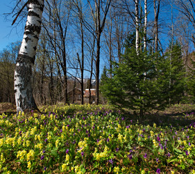 Similar image 21911229