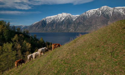 Similar image 21911230