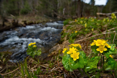 Similar image 21911232