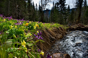 Similar image 21911233