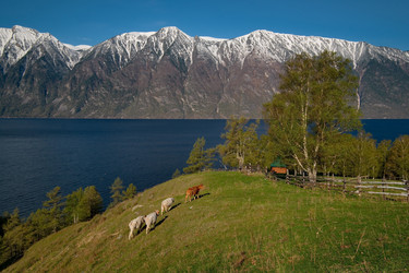 Similar image 21911234