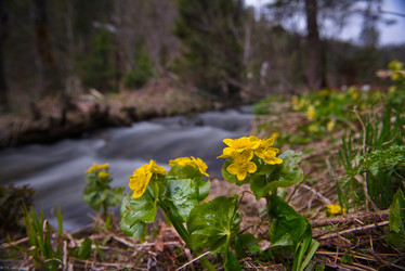 Similar image 21911236