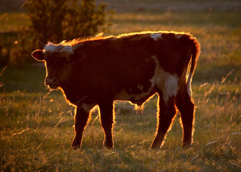 Similar image 21911243