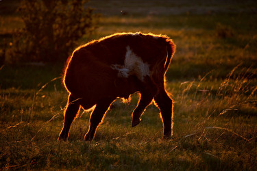 Similar image 21911244