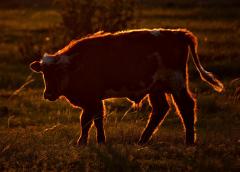 Similar image 21911245