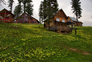 Similar image 21911246