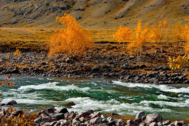 Similar image 21908114