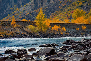 Similar image 21908116