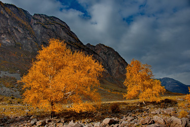 Similar image 21908118