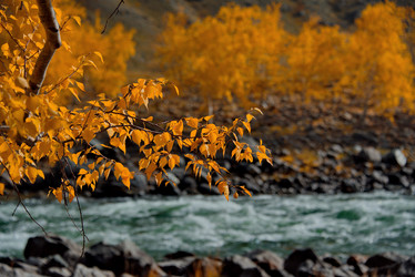 Similar image 21908119