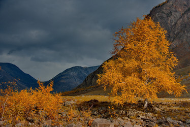 Similar image 21908120