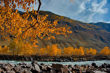 Similar image 21908121