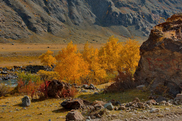 Similar image 21908122