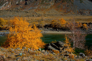 Similar image 21908123