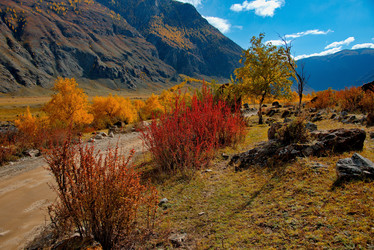 Similar image 21908124