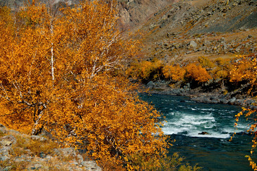 Similar image 21908126