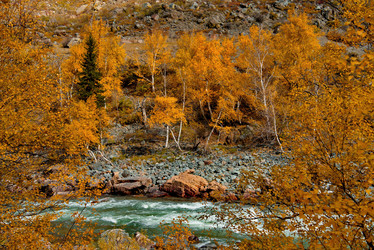 Similar image 21908132