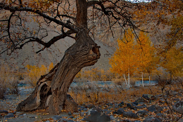 Similar image 21908133