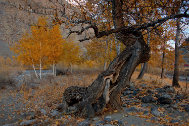 Similar image 21908134