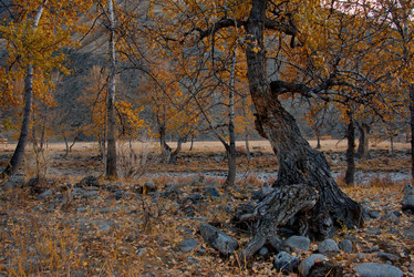 Similar image 21908135