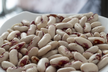 Similar image 21907666