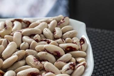 Similar image 21907667