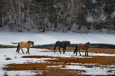 Similar image 21908145