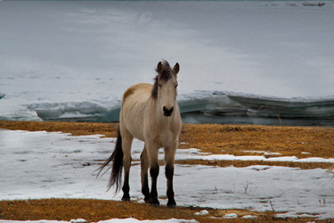 Similar image 21908146